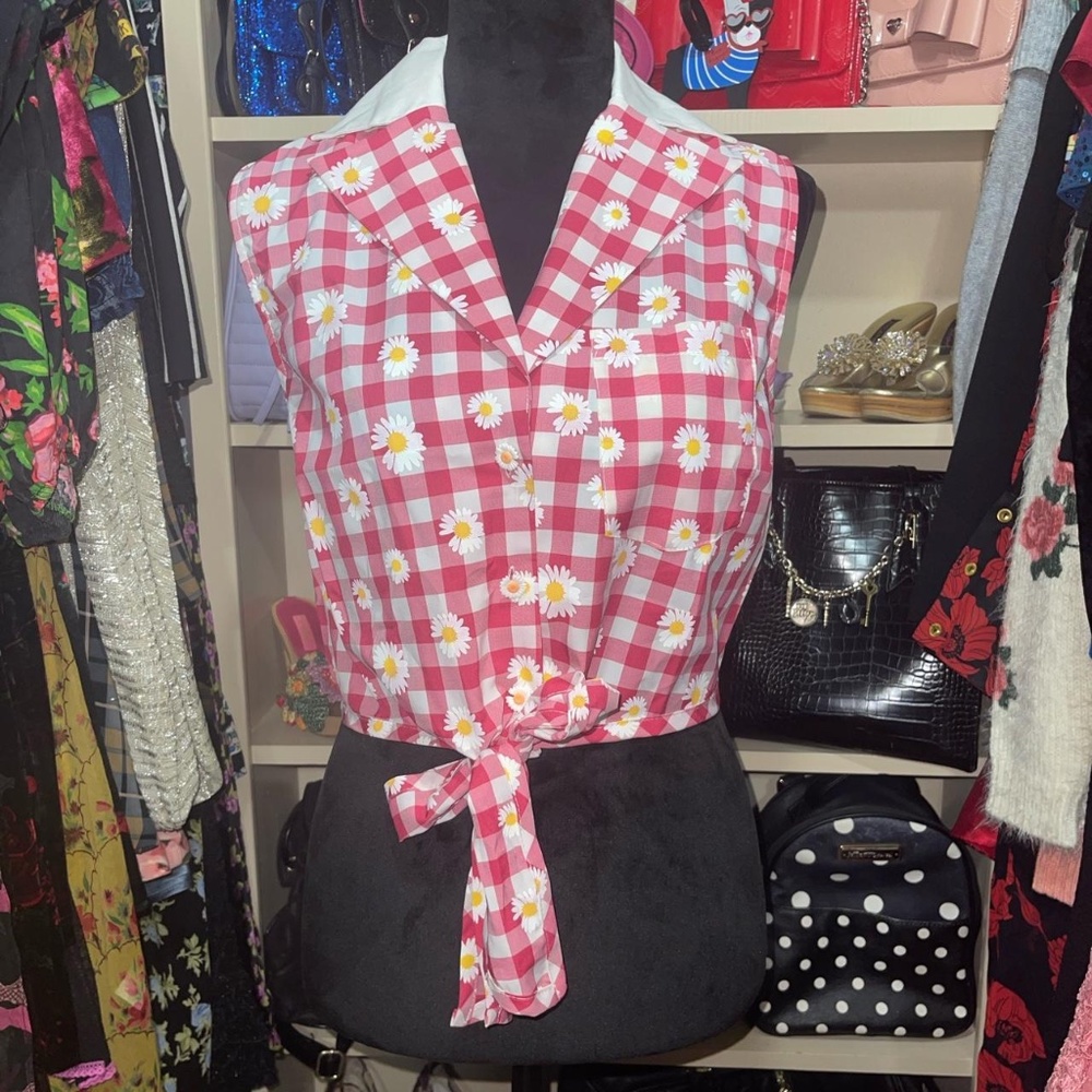 Unique Vintage Cropped Pink Gingham Daisy Tie-Front Button Down Top